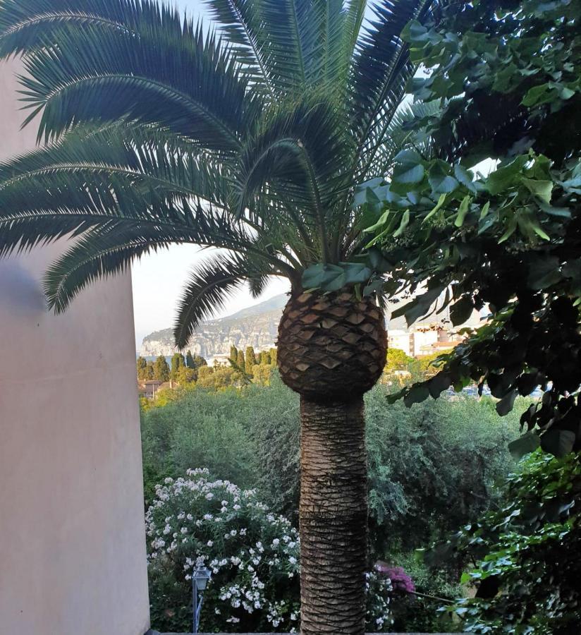 Casa Athena *